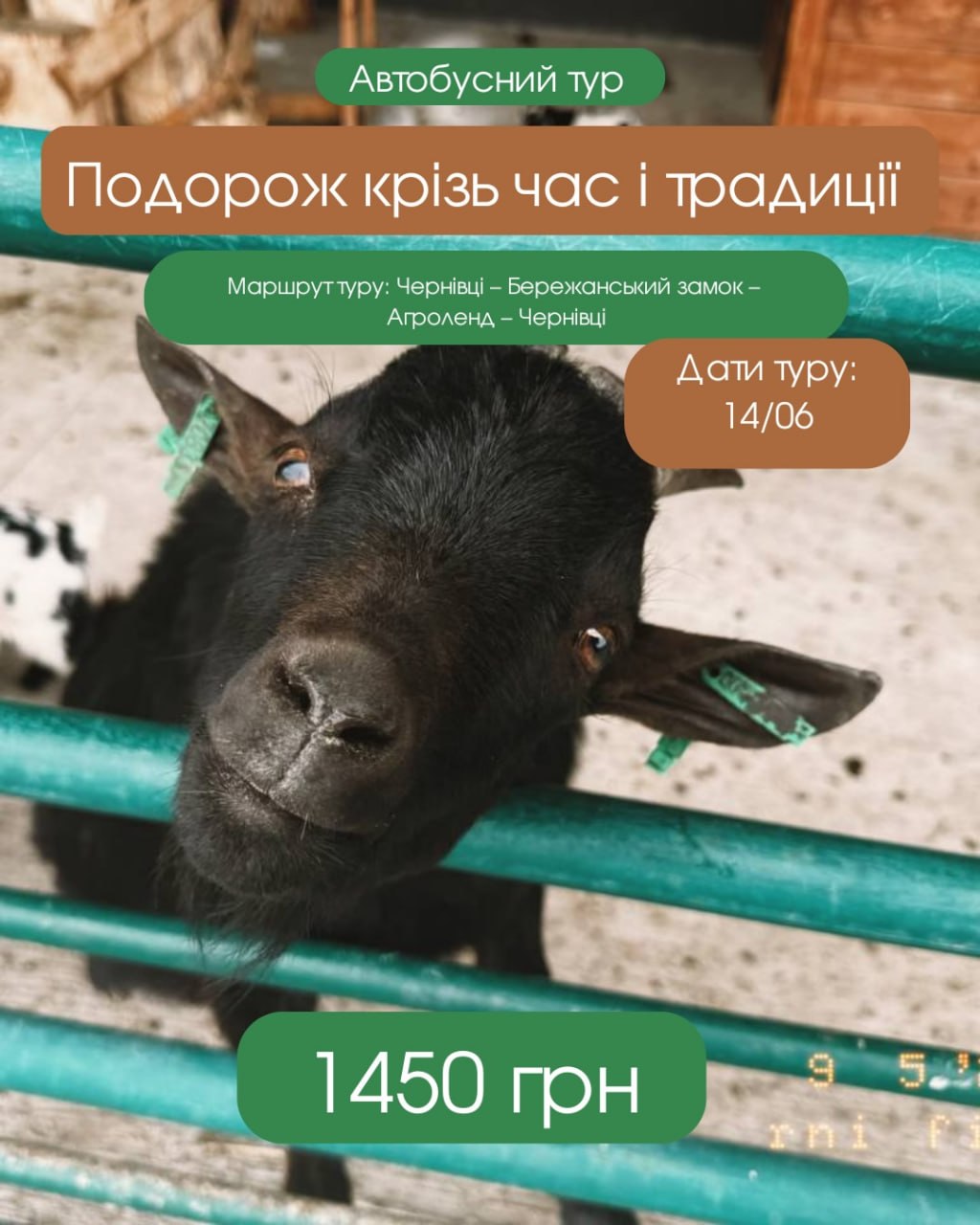Одноденний тур до Бережанського замку та Агроленду!