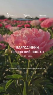 Благодійний півонієвий поп-ап на терасі у Чернівцях!