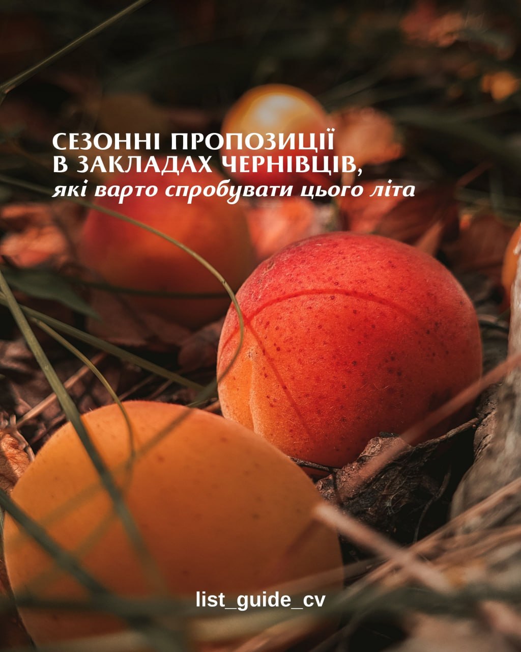 🍑 Сезонні пропозиції в закладах Чернівців, які варто спробувати цього літа