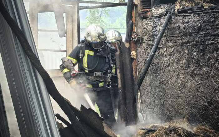 Буковинські рятувальники за добу погасили дві пожежі та врятували собаку