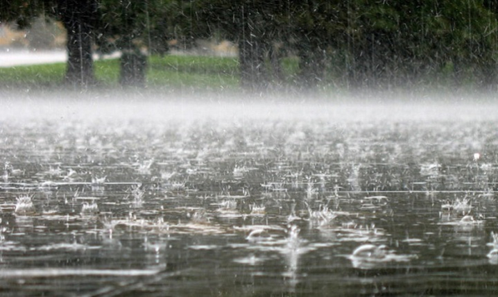 На Буковині сьогодні до +26°C, можливі дощі та грози