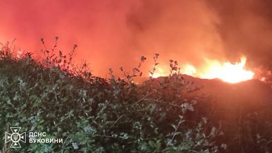 Пожежа в селі Коболчин: суха трава та сміття загорілися під час підпалу
